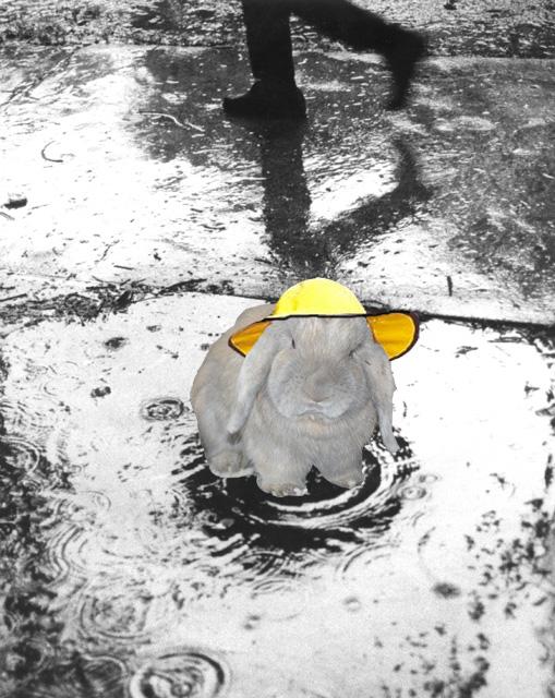 smokeyintherain.jpg